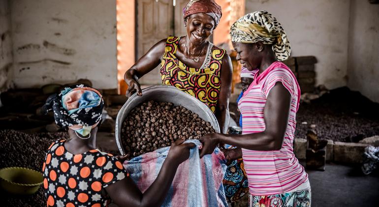 يعد إنتاج المكسرات والزبدة من بين أكثر الأنشطة المدرة للدخل التي يمكن أن تصل إليها النساء الريفيات في شمال غانا.