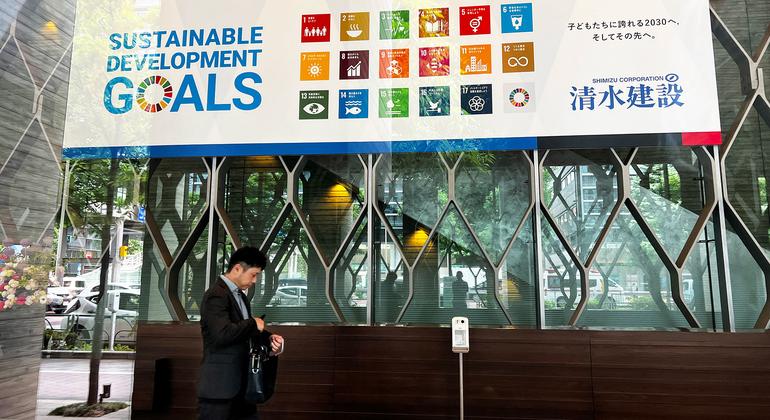 SDGs are often propagated by Japan's private sector. SDGs are often propagated by Japan's private sector.