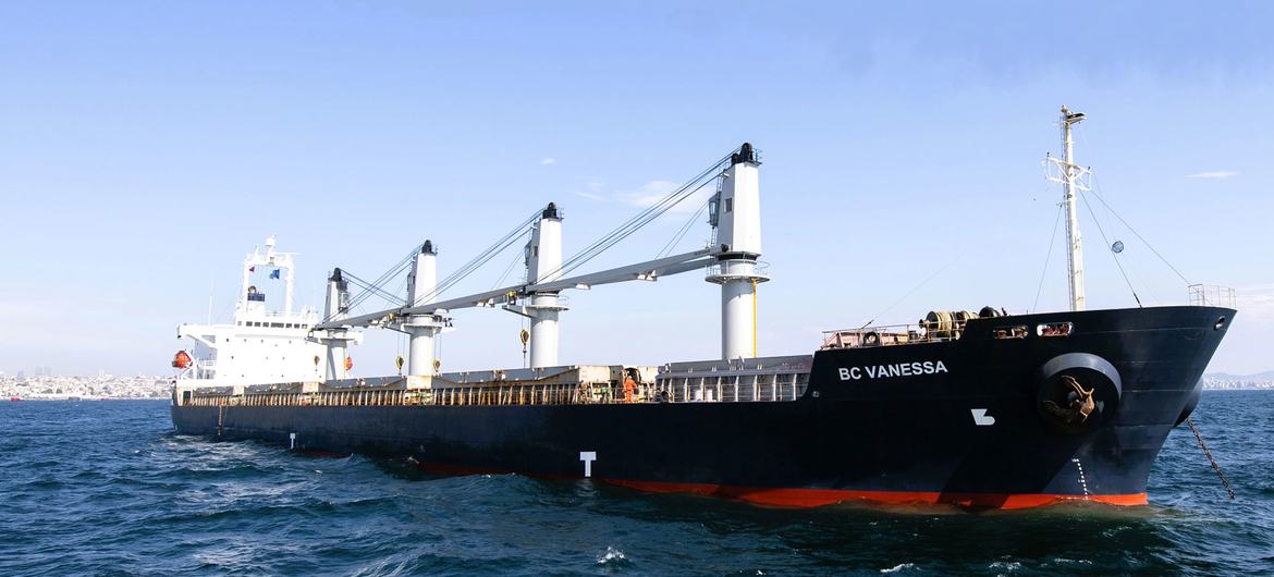  سفينة تابعة لبرنامج الأغذية العالمي تنتظر التفتيش من قبل مركز التنسيق المشترك في بحر مرمرة (هذه السفينة تحمل القمح من أوكرانيا إلى أفغانستان).