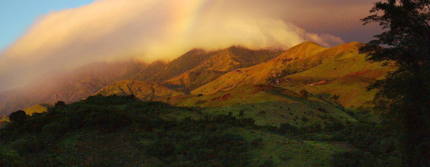 Les forêts humides de l’Atsinanana, à Madagascar