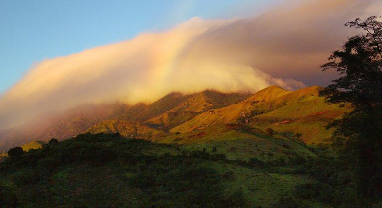मडागास्कर के अटसिननाना के वर्षावन.