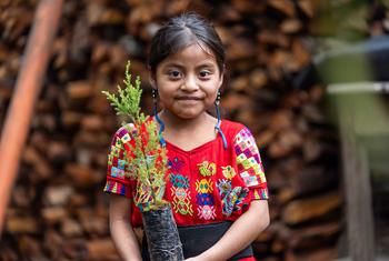 Les peuples autochtones, comme cette jeune fille de la communauté K'iche' au Guatemala, apportent leurs connaissances pour lutter contre le changement climatique.