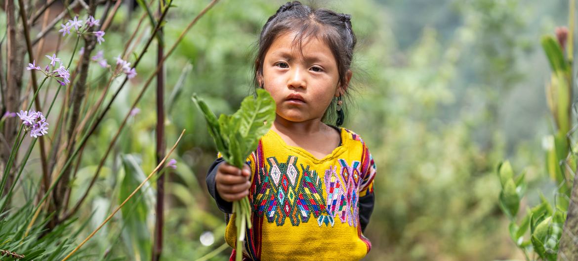 A young girl in Guatemala holds herbs from a kitchen garden. A young girl in Guatemala holds herbs from a kitchen garden.