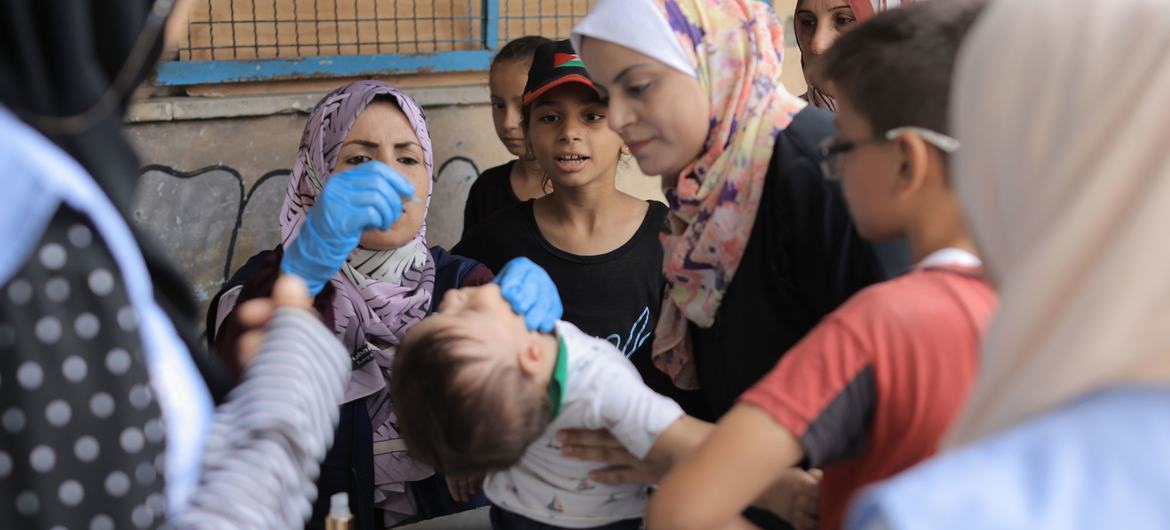 Uma criança recebe a vacina contra a poliomielite em uma clínica da UNRWA na Faixa de Gaza, cercada por mulheres e outras crianças.