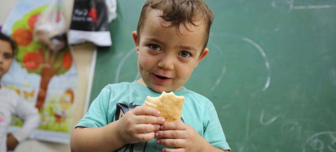 El Programa Mundial de Alimentos (PMA) de la ONU distribuyó pan a las familias refugiadas de la violencia continuada en Gaza.