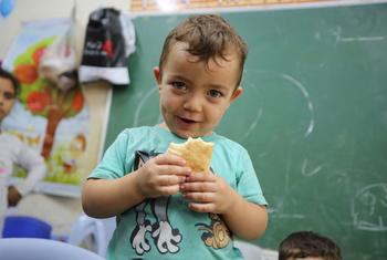The UN's World Food Programme (WFP) distributed bread to families sheltering from ongoing violence in Gaza.