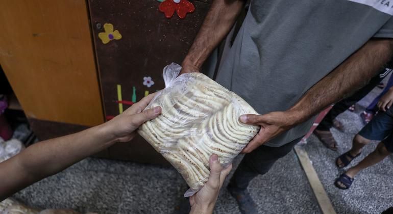 ग़ाज़ा में UNRWA द्वारा संचालित स्कूलों में पनाह लिए हुए लोगों को, खाद्य सामग्री का वितरण.