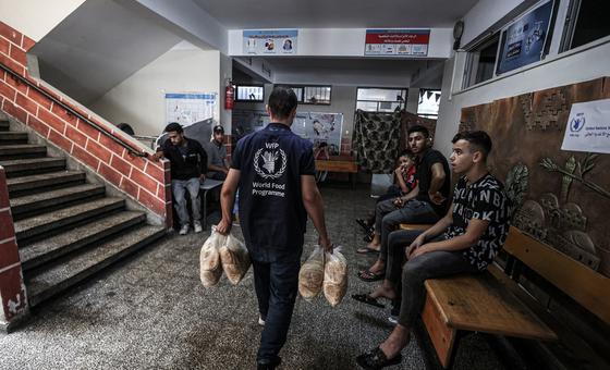 Gaza: Nowhere to go, as humanitarian situation reaches ‘lethal low’
