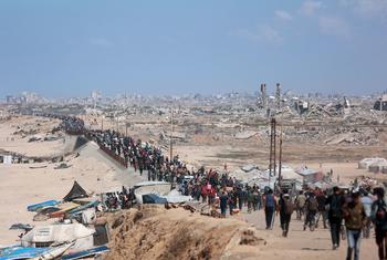 Tras el acuerdo de alto el fuego, miles de personas intentan regresar al norte de Gaza Tras el acuerdo de alto el fuego, miles de personas intentan regresar al norte de Gaza