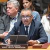 Le directeur général de l'OMS, Tedros Adhanom Ghebreyesus, lors d'une réunion du Conseil de sécurité de l'ONU sur la situation au Moyen-Orient, le 10 novembre 2023.