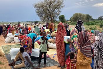 Des réfugiés nouvellement arrivés du Darfour, au Soudan, cherchent asile et sécurité au Tchad.