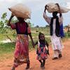 Семья из Дарфура направляется в Чад.