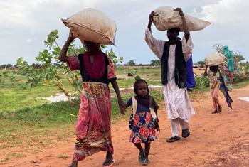 来自苏丹达尔富尔的一家人越境逃到乍得。