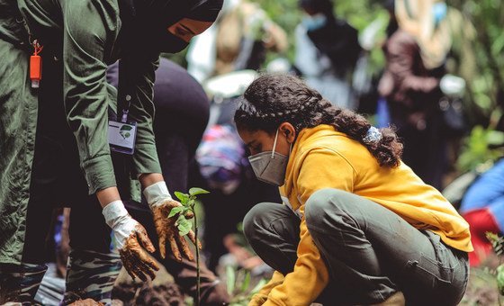 Ethiopia has undertaken a major national reforestation programme in 2020, with the ambitious target of planting four billion trees.  