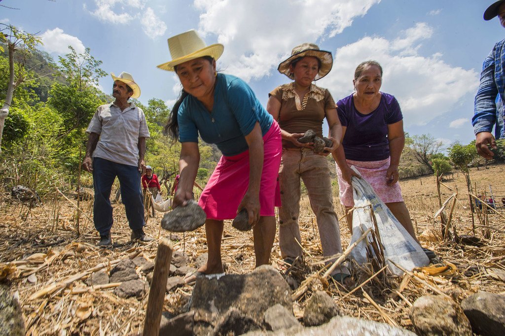 中美洲国家萨尔瓦多的女性正在进行土壤保护工作，这是联合国粮食计划署气候变化项目的一部分。