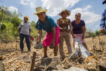 Mujeres que trabajan en un programa de conservación del suelo del Programa Mundial de Alimentos en El Salvador