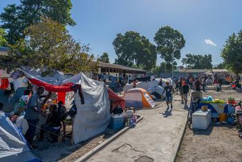 हेती की राजधानी पोर्त-ओ-प्रिन्स के एक स्कूल में विस्थापितों के एक समूह ने शरण ली है. 