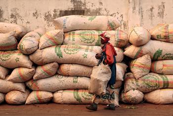 Развивающиеся страны страдают из-за роста цен на продовольствие. 