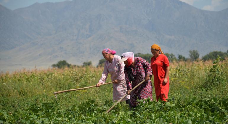FAO: Gıda ve tarımda cinsiyet eşitsizliği dünyaya 1 trilyon dolara mal oluyor

 Nguncel.com