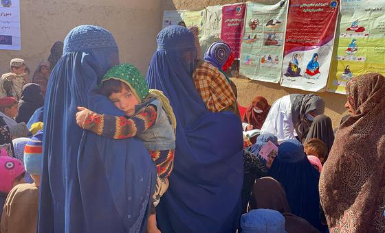 Anak-anak menanggung beban krisis Afghanistan: UNICEF