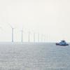 A boat passes in front of an offshore wind power project close to Yancheng in eastern China.