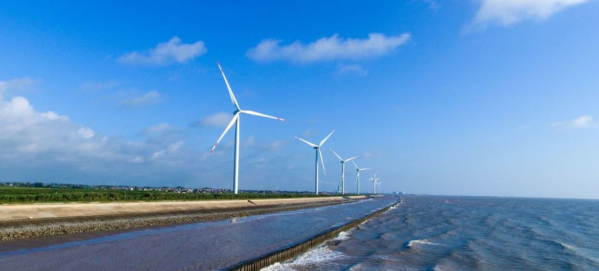 Ветряные турбины вдоль прибрежного шоссе в Янчэне, Китай.