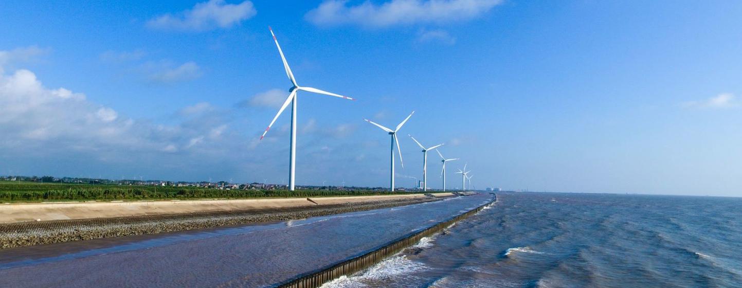 Wind turbines line the coastal highway in Yancheng, China.
