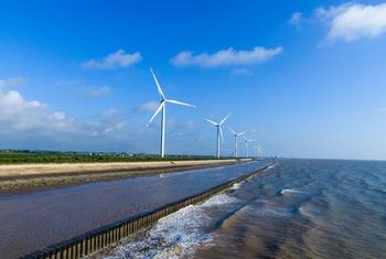 Wind turbines line the coastal highway in Yancheng, China.