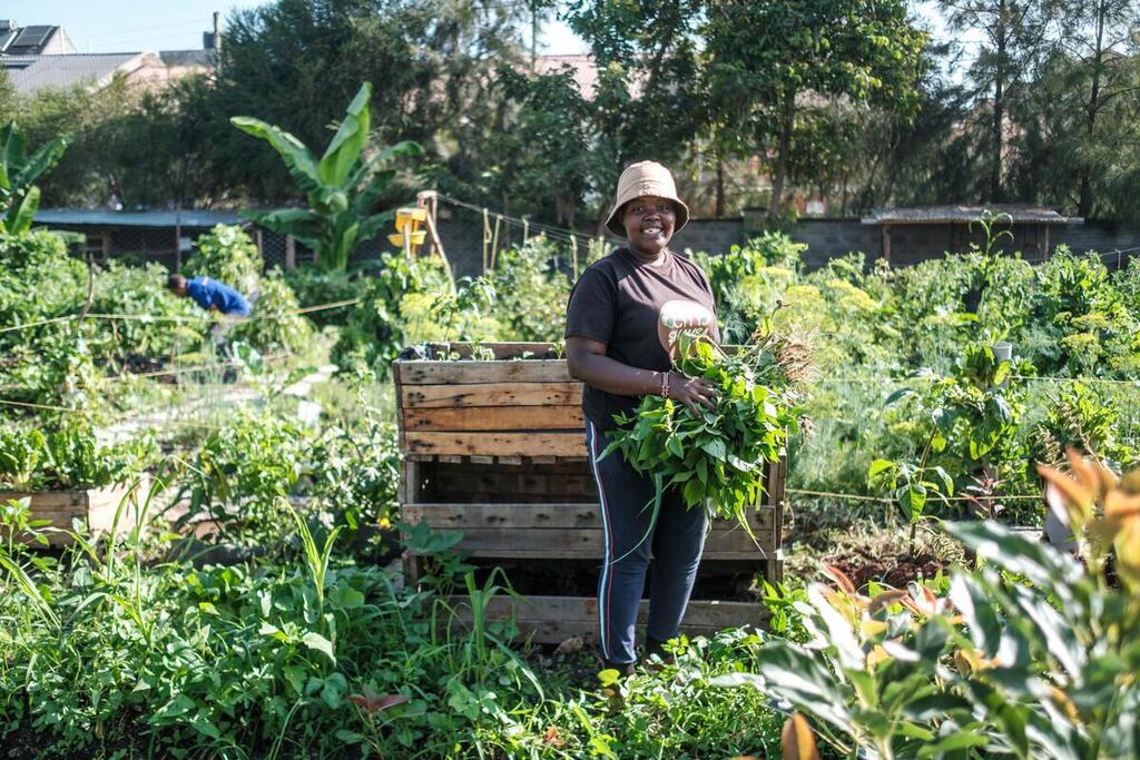 Une femme souriante coiffée d'un chapeau tient un bouquet de plants de kunde dans le verger urbain de Shamba, à Nairobi, au Kenya.