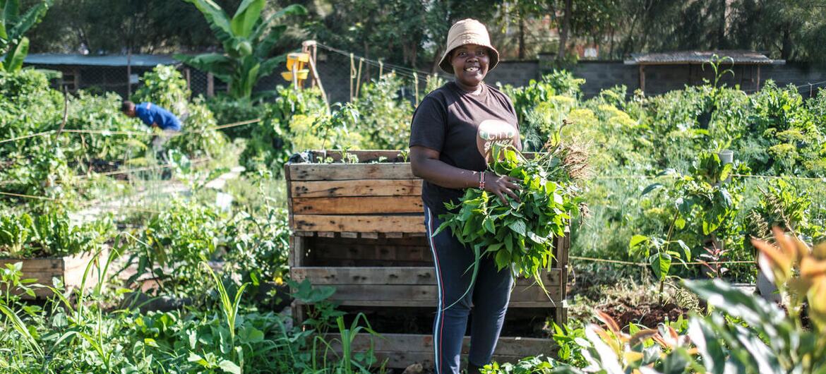Soil mapping aims to boost agricultural production in Kenya