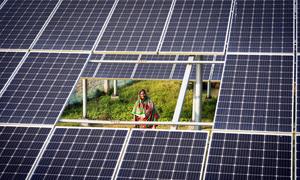 Las mujeres criadoras de cabras en Bangladesh se benefician del suministro de energía renovable.