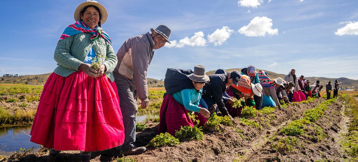 Women farmers in Peru contend with climate change — Global Issues
