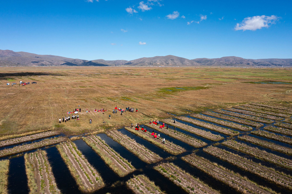 Another method implemented is the rehabiWaru warus in Thunco: an ancient farming technique with canals and raised beds to manage droughts and floods. Another method implemented is the rehabiWaru warus in Thunco: an ancient farming technique with canals and raised beds to manage droughts and floods.