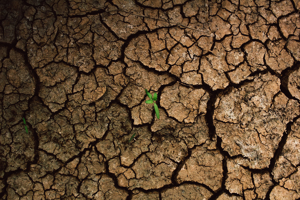 Las fluctuaciones extremas en las precipitaciones como consecuencia de la crisis climática han afectado significativamente a la agricultura y a los medios de vida de las comunidades del sureste de Perú.