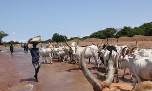 Space-based observations and AI modelling are already transforming the science of forecasting, a potential gamechanger for countries ill-equipped to protect themselves from weather hazards, such as South Sudan.