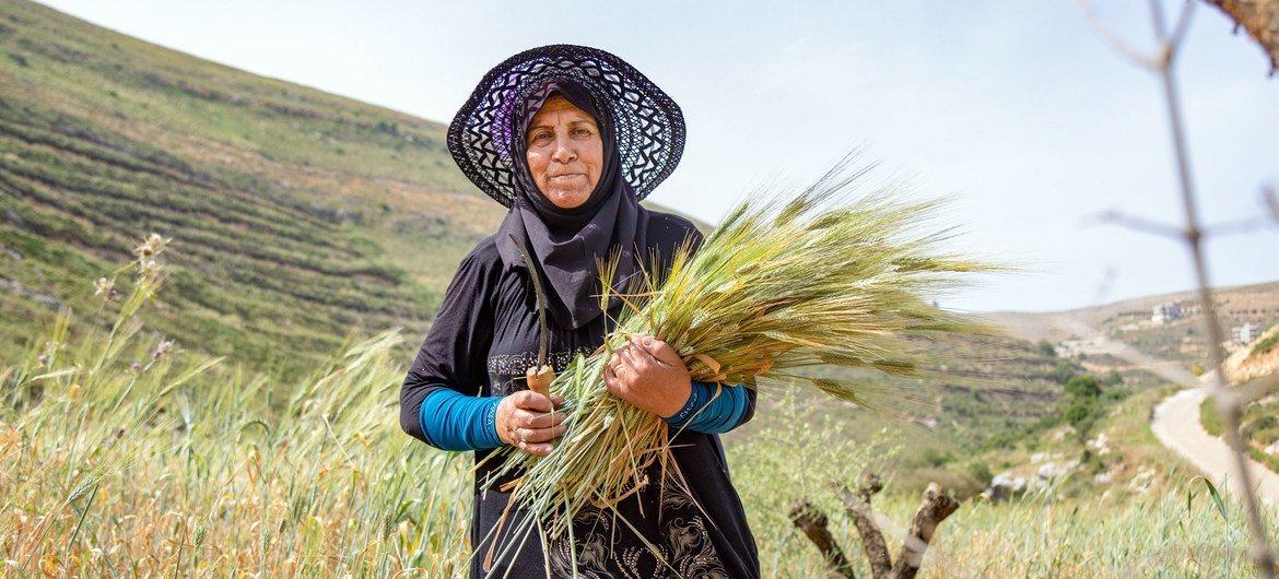The resilience of agrifood systems to shocks is critical for food security (file).