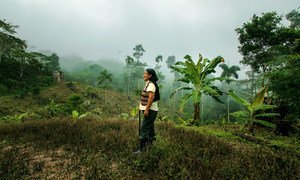 Indigenous communities in Peru are growing organic coffee to boost their livelihoods.