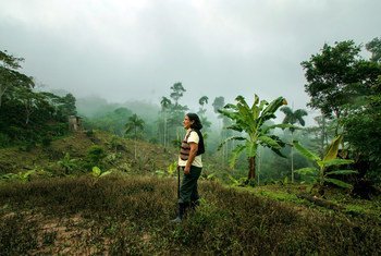 Indigenous communities in Peru are growing organic coffee to boost their livelihoods.