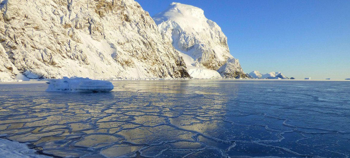 Formação de gelo marinho na Baía do Uruguai, Ilha Laurie, Orkney do Sul, Antártica. Ano foi marcado por ondas recordes de calor