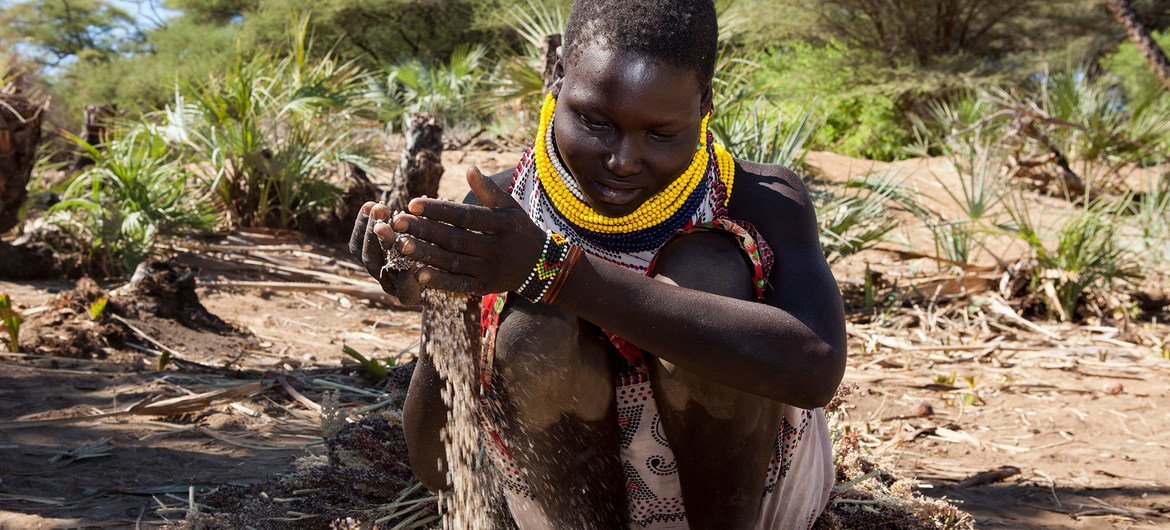 Familia za Turkana zinatumia kilimo cha umwagiliaji kulima mazao ya chakula wakati wa ukame wa muda mrefu nchini Kenya.