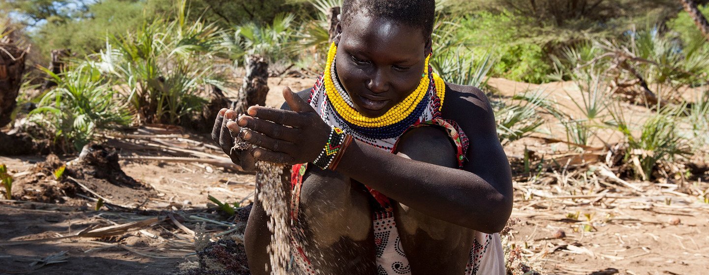 Families in Turkana are using irrigation farming to grow food during the prolonged drought in Kenya.