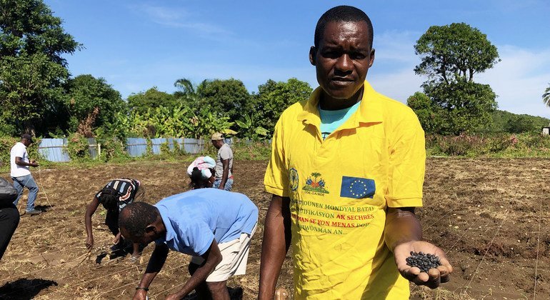 Un membre d'une association agricole en Haïti, Pierre Ybert, plante des haricots.