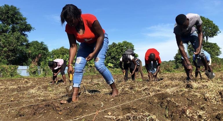 First Person: Cultivating Haiti’s future