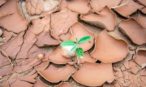 Tierra árida agrietada debido a una grave sequía.