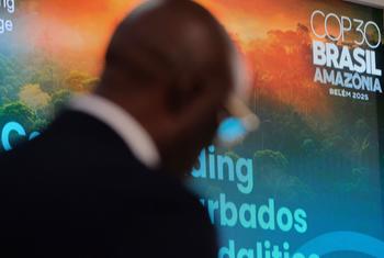 联合国气候大会正在巴西亚马逊地区的贝伦市举行。