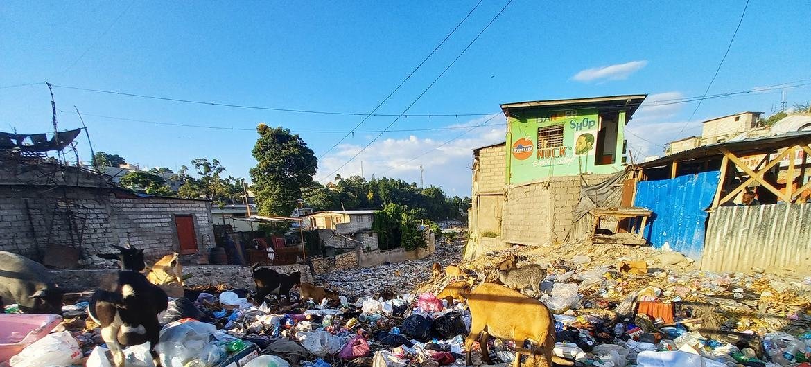 Waste absorption   successful  Haiti lags acold   down  different   countries successful  the region.