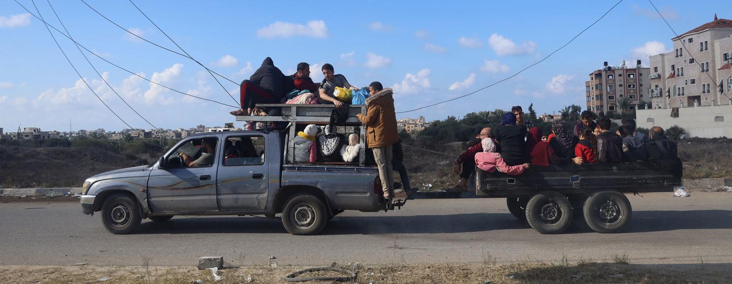 逃离加沙战火的人们继续在这块飞地寻找安全的避难所。