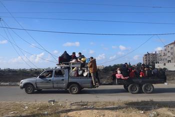 逃离加沙战火的人们继续在这块飞地寻找安全的避难所。