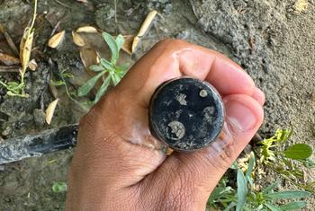 Smart irrigation regulates the amount of water that the lime trees receive.