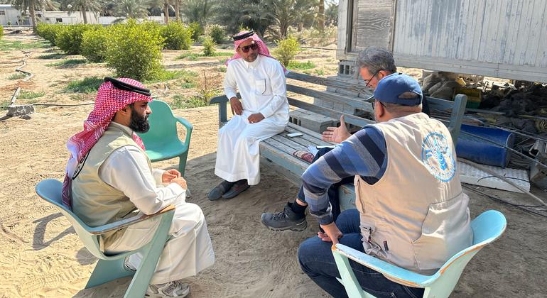 Mohammad Alwanwairan (centre) explains how his farm has benefited from efficient irrigation techniques.